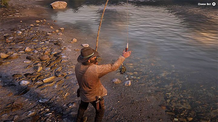 rdr 2 fish