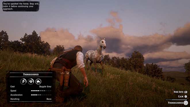 Red Dead Redemption 2 - ловим дикую лошадь Red Dead Redemption 2 - ловим дикую лошадь